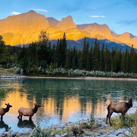 #304 Mountain View 1Br In Canmore Dt 外观 照片