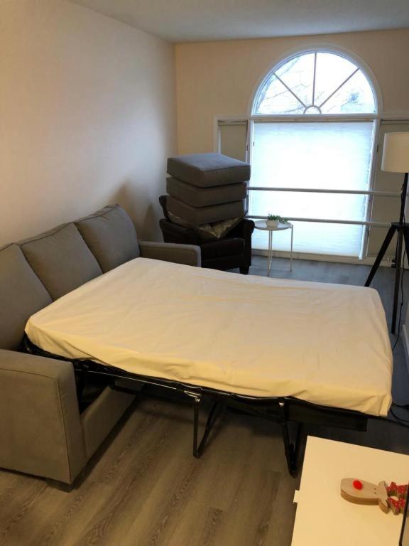 #304 Mountain View 1Br In Canmore Dt 外观 照片