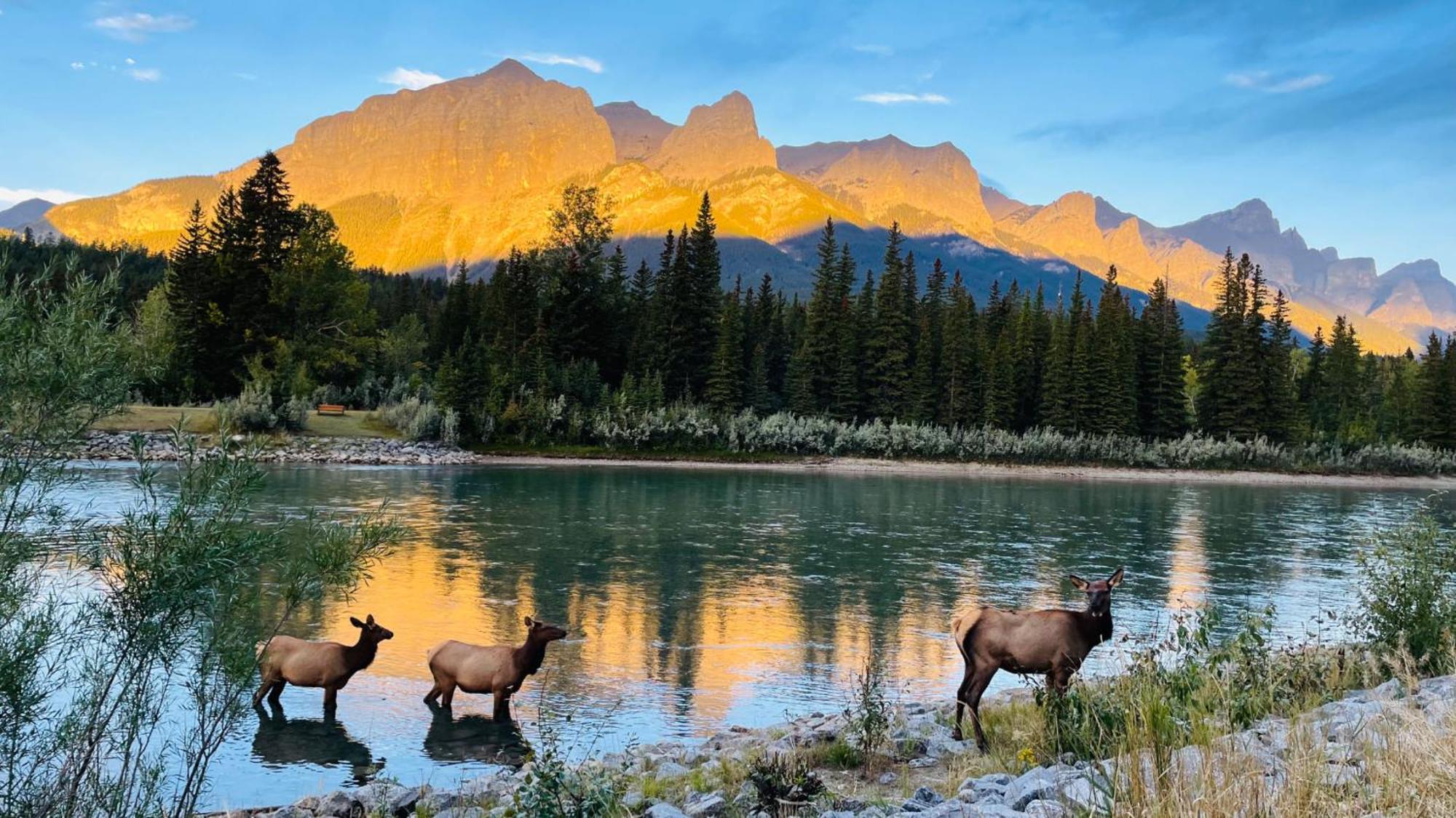 #304 Mountain View 1Br In Canmore Dt 外观 照片